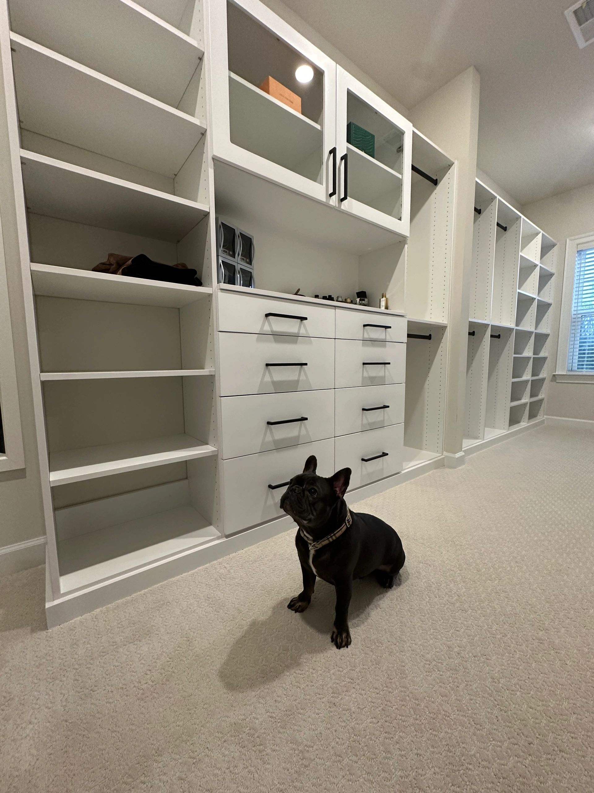 Pet helper on the job Fantasy Closets custom installation