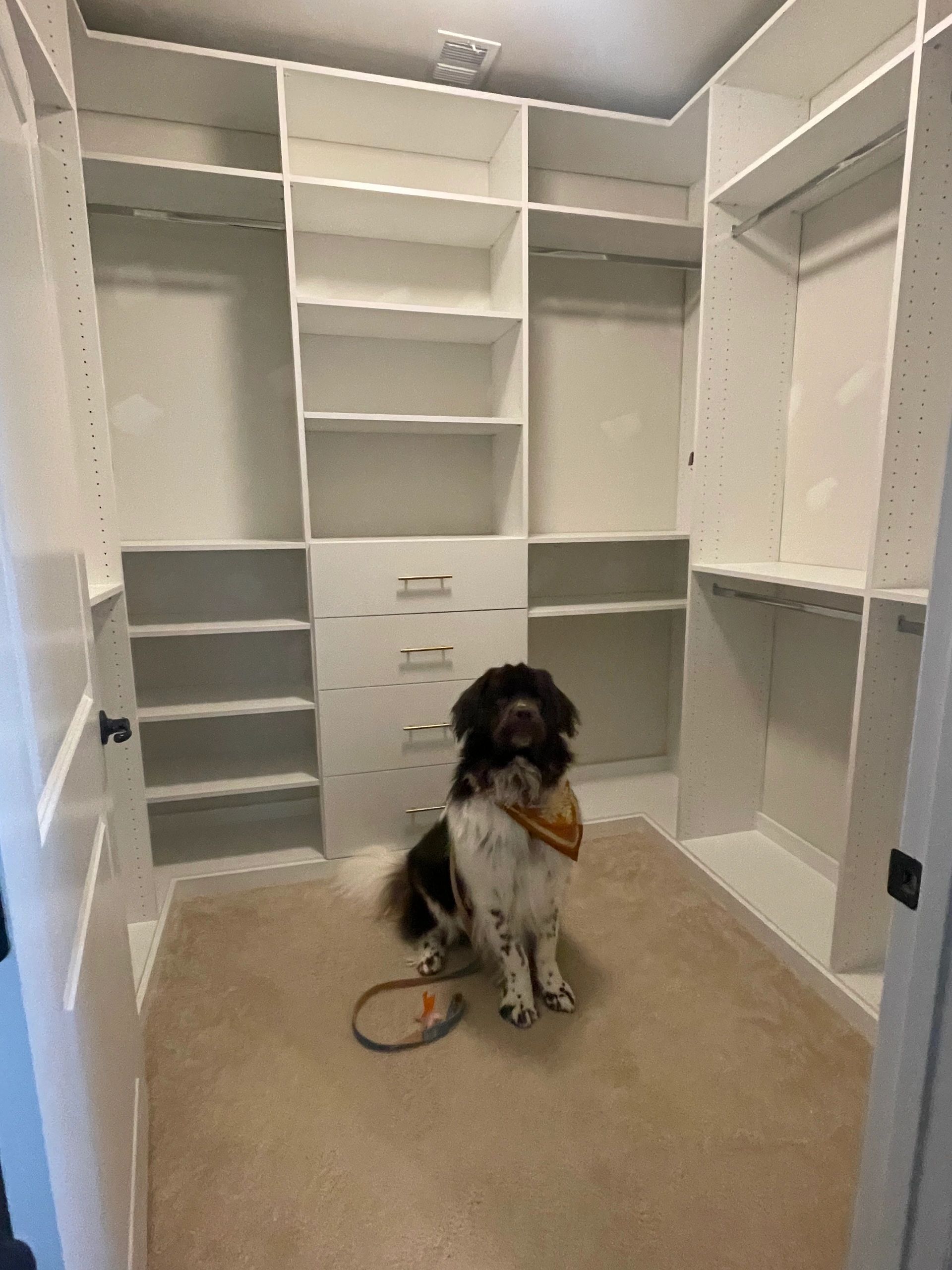 Cute dog watching Fantasy Closets team install custom closet