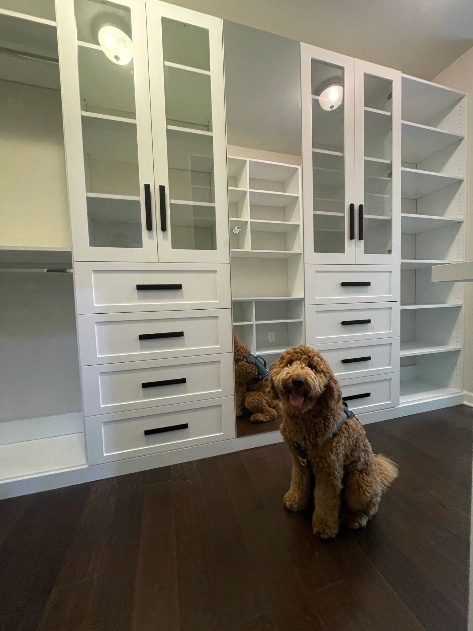 Adorable pet helper supervising Fantasy Closets installation Northern Virginia